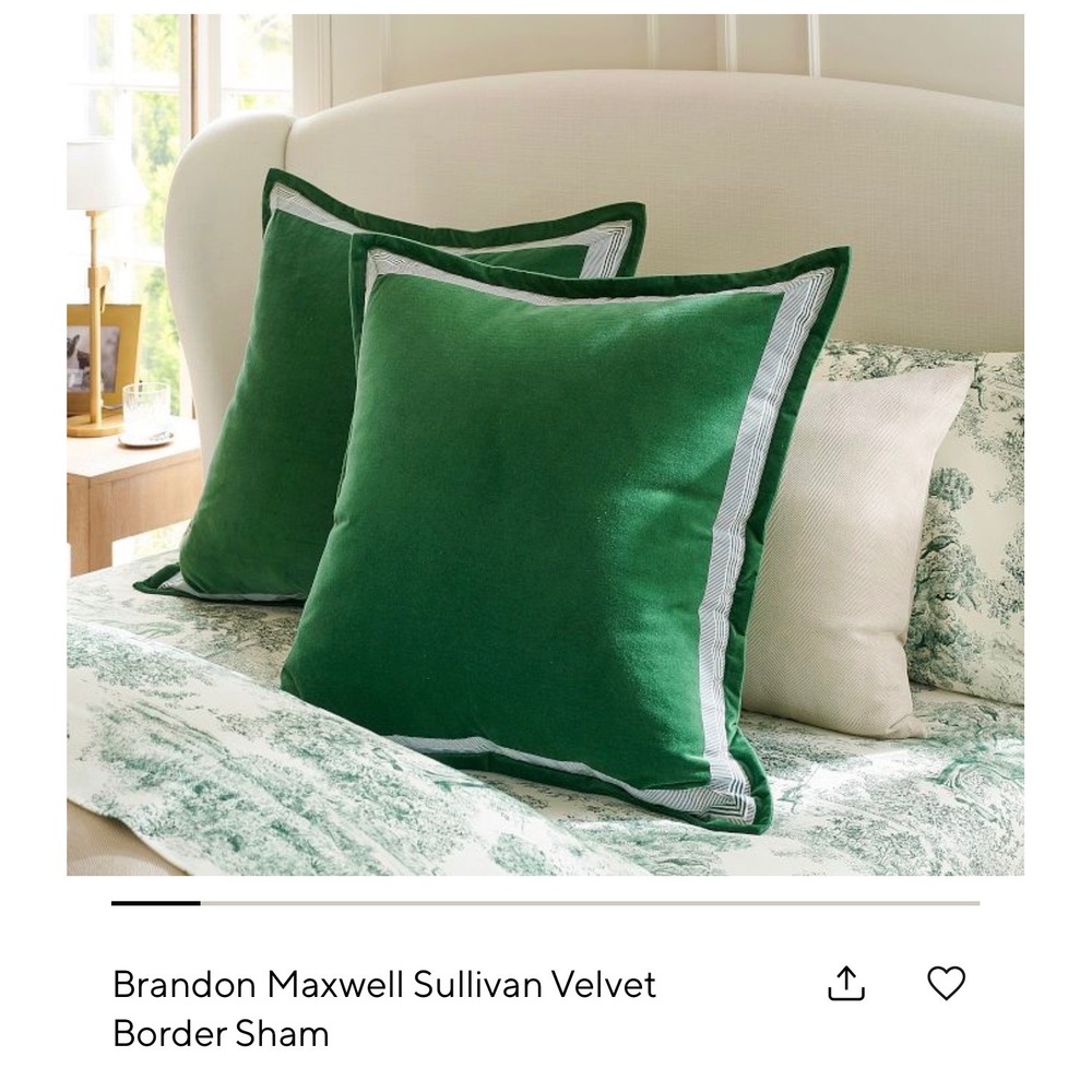 Pottery Barn Brandon Maxwell Sullivan Velvet Border Sham Green Euro 26x26 NEW